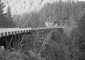 Carbon River Bridge