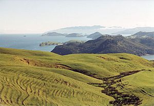 Coromandel Peninsula