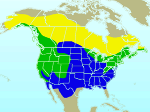 Dark-eyed Junco-rangemap.gif