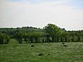 Dunlop Castle mound