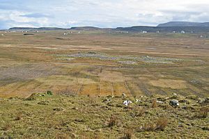 Eilean Chaluim Chille (photo, 2008)