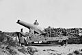 Fort Fisher Gun