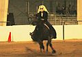 Freestyle reining