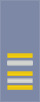 French Army (sleeves) OF-4.svg