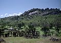 Great-Zimbabwe-3