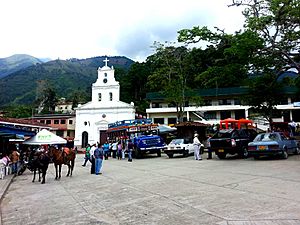 Heliconia parque.jpg