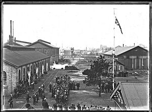 HoneysuckleShedsSnowball1911