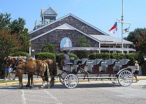 Horses by Museum