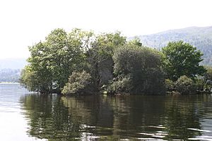 Inchgalbraith, Loch Lomond