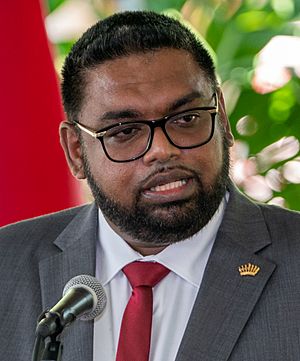 Irfaan Ali in 2020.jpg