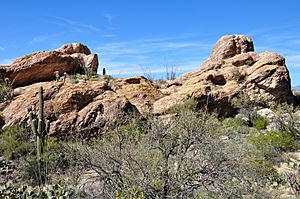 Javelina Rocks in the RMD