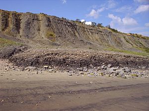 Landslip near Lyme