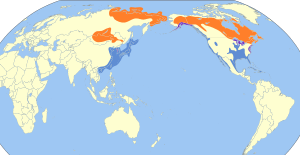 Larus smithsonianus map.svg