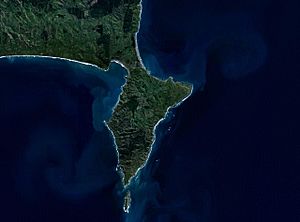 NASA satellite image of the Mahia Peninsula