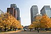 Marunouchi leaves.jpg