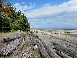 Miracle Beach Provincial Park.jpg