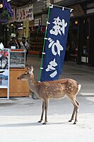 Miyajima Deer Sep08