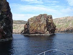 Murbie Stacks, Muckle Roe - geograph.org.uk - 886923