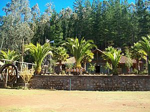 Museo del Niño Rural, at Ciruelos