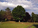 Nannen Arboretum 20160819 04.jpg