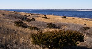 Napatree Point (52242)