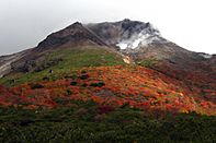 Nasu chausudake