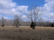 Old-stone-fort-interior-tennessee