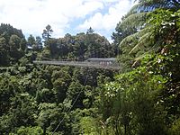 PC277731 Arapuni Swing Bridge