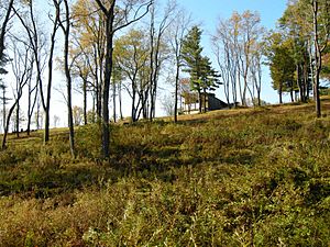 The site of Pithole in October 2009. The visitor center is visible at the top of the hill.