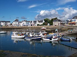 Port de Lesconil.JPG