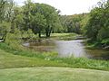 River Course, Blackwolf Run