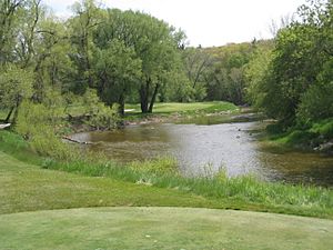 River Course, Blackwolf Run.jpg