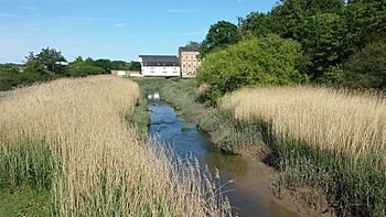 Roman River above Fingringhoe Mill.jpg