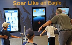 SOAR-Like-an-Eagle-Game