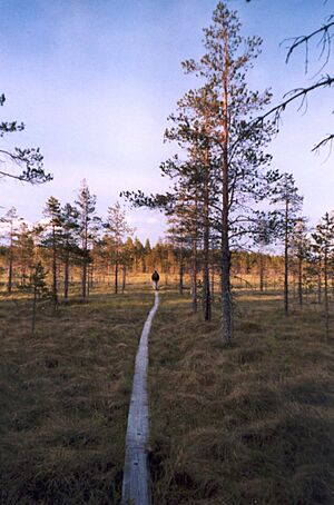 Salamajärvi national park