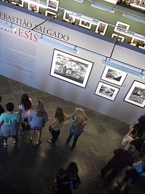 Sebastião Salgado - Genesis