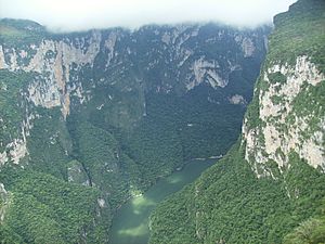 Sumidero Canyon