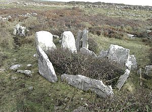 Teergonean court cairn