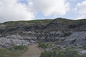 Tyrrell Museum Badlands from the interpretive trail 6