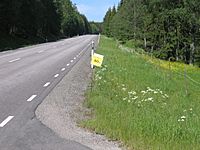 Vätternrundan route.jpg