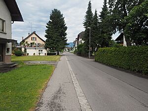 View of Hohenems