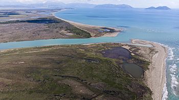 Vjosa river mouth.jpg