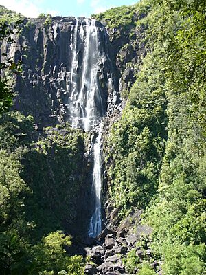 Wairere Falls.jpg