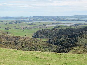 Waitetuna arm of Whaingaroa Harbour.JPG