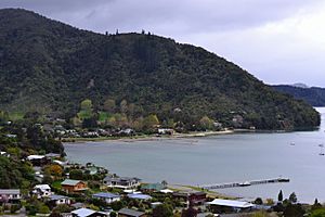 Anakiwa from the south-west, looking toward Outward Bound