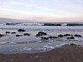 Arbroath Beach with Seaweed