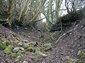 Auchenskeith railway cutting, near Kilwinning