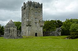 Aughnanure Castle (pixinn.net).jpg