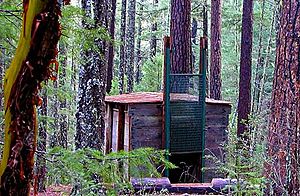 Bigfoot trap