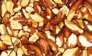 Brazil nuts